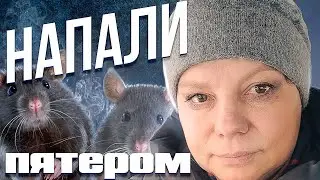 на меня напали мыши