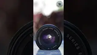 How stopping down the aperture looks on the lens and the background #aperture #exposure #bokeh