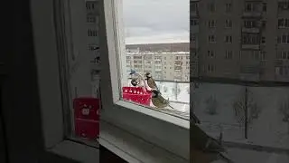 5 ноября 2024 г.