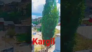 shorts #youtube #viral #new #video #kargil #story ❤️❤️❤️❤️💫💫💫👌👌👌👌👌👌👌👌