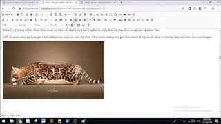 CKEditor: Hướng dẫn upload ảnh và đưa vào bài viết | V1Study