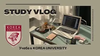 Учеба в корейском университете (ВЛОГ) | study vlog (Korea University).