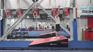 RINGS AND TUMBLING WORKOUT (AT SPARTAN GYMNASTICS)