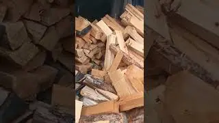 18 июня 2024 г.