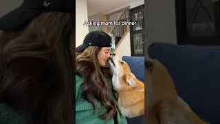 He’s a momma’s boy!