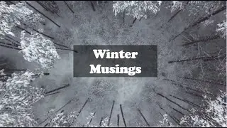 Winter Musings | Life Chronicles