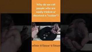 Why do we call people who are easily tricked or deceived a "sucker"?