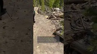 Day 82 // PCT // JMT/PCT Split, Unnamed Pass, and Island Pass