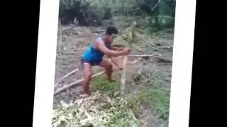 Funny Samoan Dance #PlantTaroChallenge