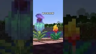 Minecraft 1.20 is OUT NOW