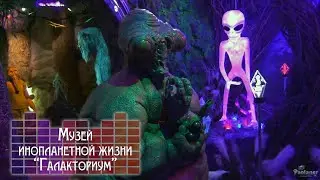 Museum of alien life «Galactorium» (2023)