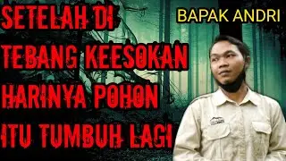 🔴 KISAH MISTERI POHON KERAMAT HUTAN LARANGAN KAMPUNG CIWALUH BOGOR