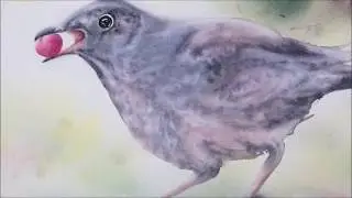 GRIVE MUSICIENNE 2ème partie