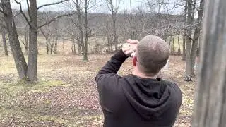 Testing coyote horn howler #1