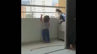 Кот боится за ребенка😍👍