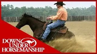 Clinton Anderson Riding Diez Bridleless