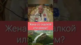 Жена со скалкой или разум? - А.Г. Хакимов