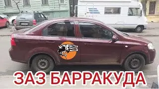 Сколько сейчас стоит тачка для Такси ?/Мысли и Мечты / ЗАЗ Барракуда/2023