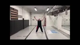 Poekoelan kung fu
