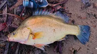 Incredible Winter Fishing At Lake Moodemere