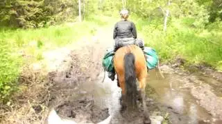 Конный поход на Алтае