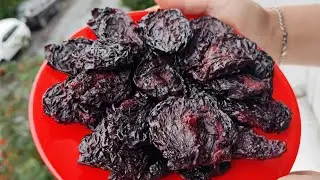 🔴ŞƏKƏRSİZ, SOBADA, YUP YUMŞAQ GAVALI QURUSU  .ƏN dəqiq resept. Цукаты из сливы .