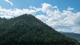 Stock Video - Pine trees covering hill as shadows move over in time lapse from clouds