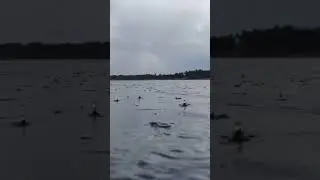 дождь на реке Ахтуба