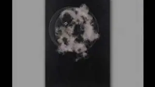 Karen Berestovoy - Rayograph