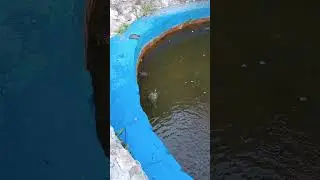 #начили
