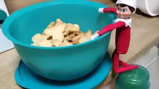 Elf On The Shelf 🎄 Tag 7 🎄 DEUTSCH