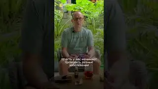 Как Мухоморы очищают организм
