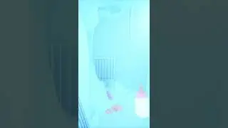 СМЕШНЫЕ МОМЕНТЫ В ИГРЕ BABY IN YELLOW Part 3548