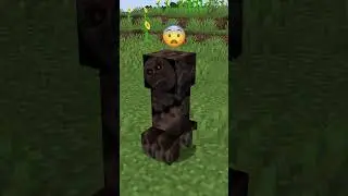 Ranking New Creeper vs Emoji Reaction Features 