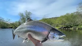 Char and Sima on a light spinning rod, Except Custom 510 ULX