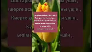 Аллаға шүкіршілік деп жазып кетіңіз