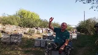 вопросы по инкубатору