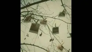 free melancholic acoustic indie folk + them & i type beat - i want to remember it all