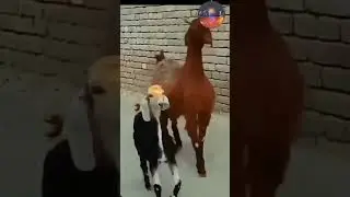 Minecraft vs reality 3