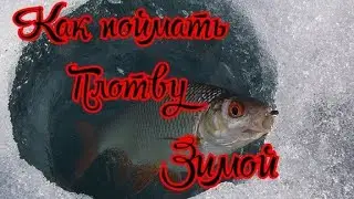 Как поймать Плотву Зимой. Ловля Плотвы по льду.Прикормка и наживка для плотвы.