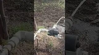 насос со стиралки, повышать давление, огород