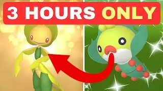 TIPS For SEWADDLE COMMUNITY DAY In Pokémon GO