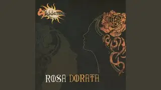 Rosa dorata