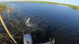 щука долбит на каждом забросе такой рыбалки давно не видели рекомендую посмотреть