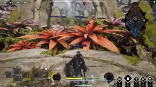 Paragon glitches