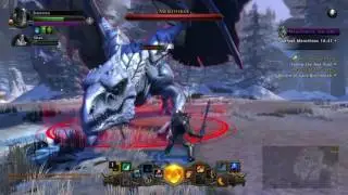 Neverwinter Ice dragon fight
