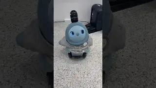Robots in Love