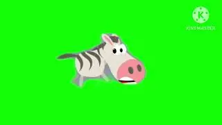 Zebra running Green screen 