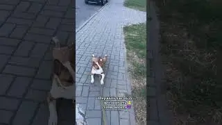 НУ ЧЕ, ТЫ СРАТЬ БУДЕШЬ?
