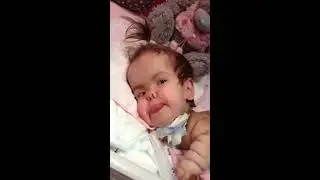 Новогодние семечки